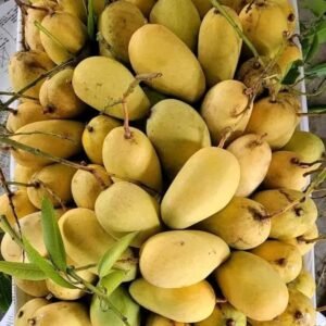 বারি ৪। ২২ কেজি